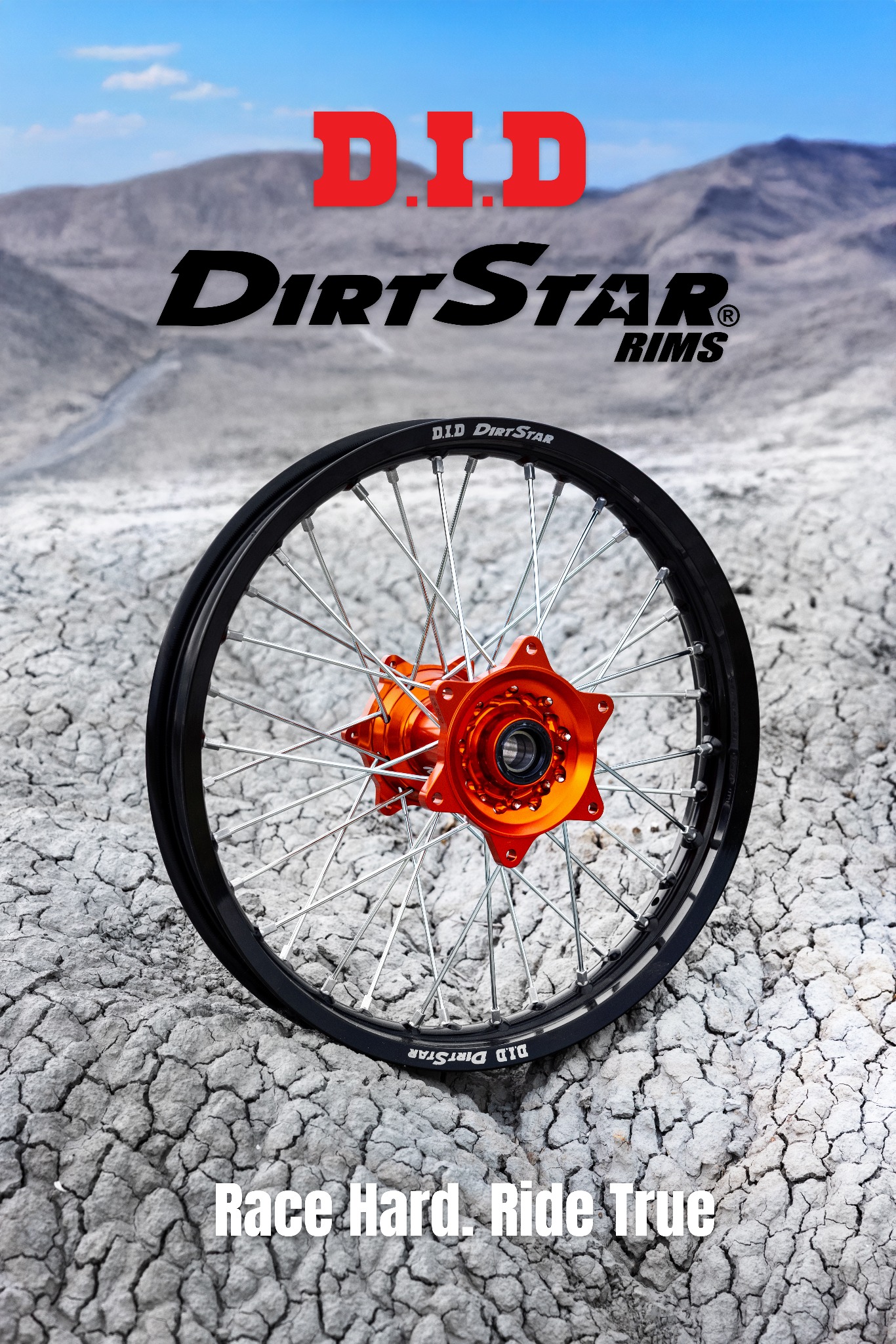 D.I.D DirtStar Rims: ruota su terreno arido